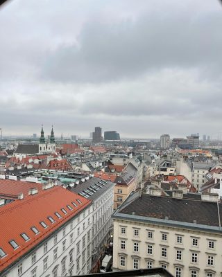 View from Stephansdom // 

#vienna #viennaaustria #austria #stephansdomwien